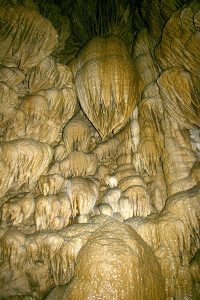 Oregon National Caves