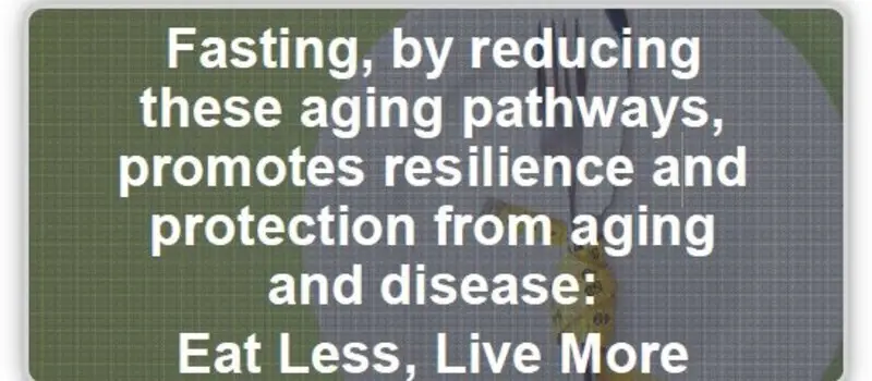 fasting to prevent aging