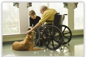 dementia dog therapy