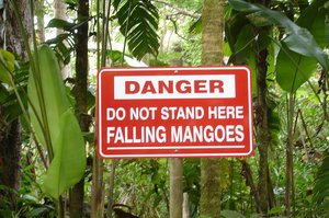 hawaii mango sign