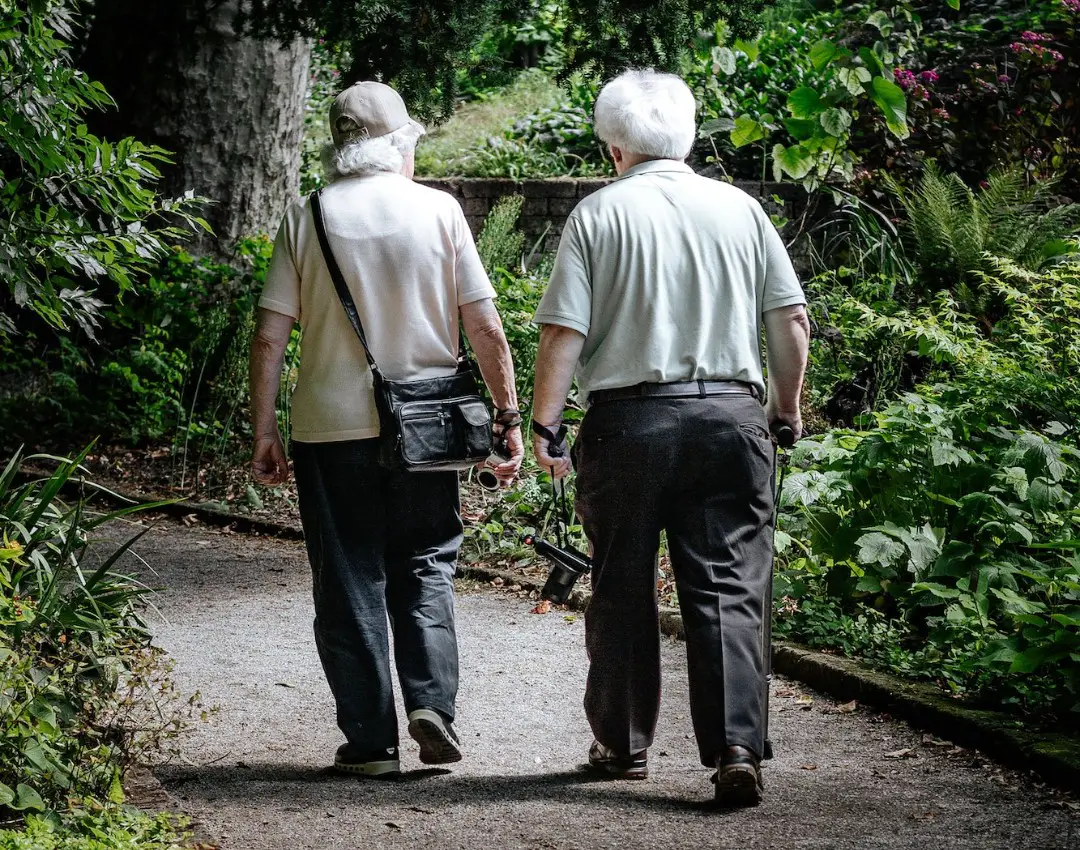 5 Activities to Help Seniors Socially Interact