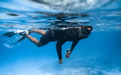 Incredible Snorkeling Cruise for Seniors