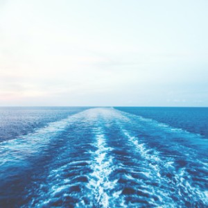 are cruises safe from passenger drownings