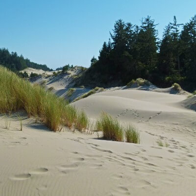 oregon-sand-dunes